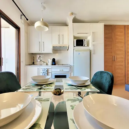 Palmera * Puerto de la Cruz